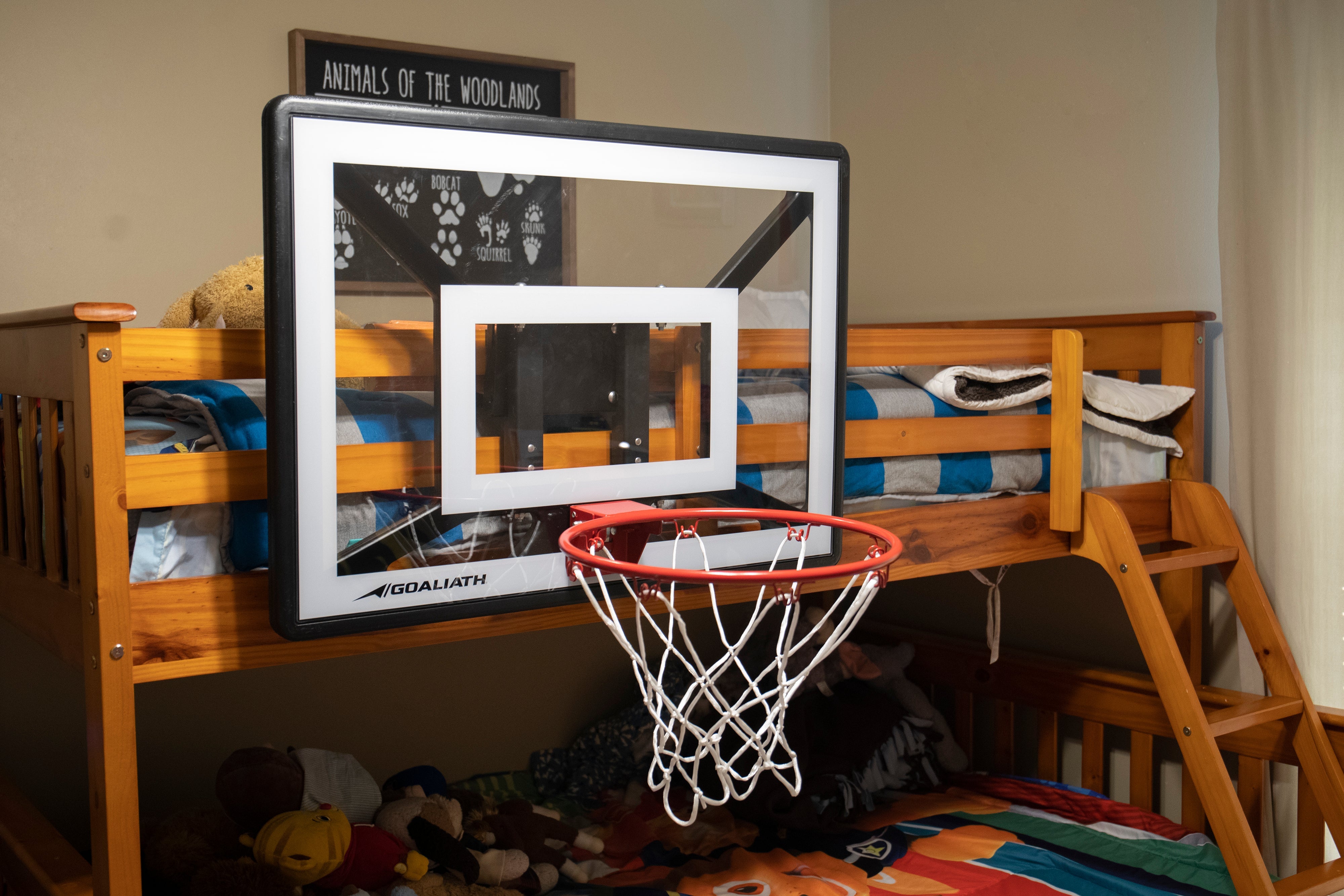 Goaliath Junior Basketball Hoop
